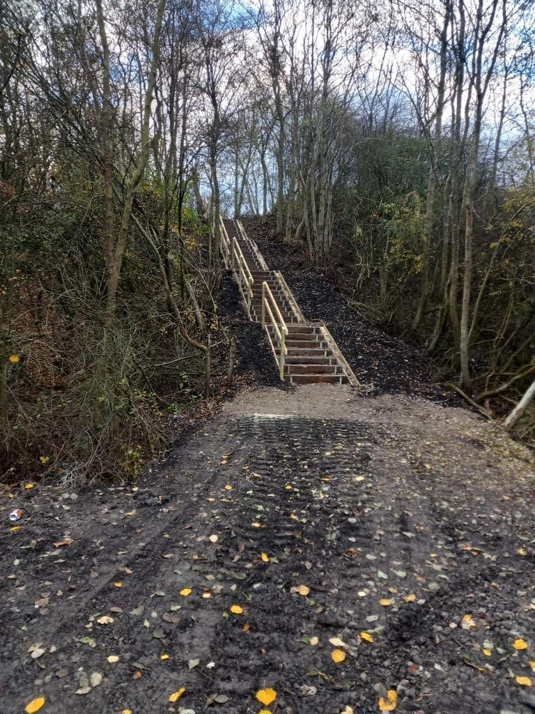 Image shows the steep flight of wooden steps at the eastern end of Bennerley Viaduct. They go up the steep embankment of the viaduct and are surrounded by trees. 