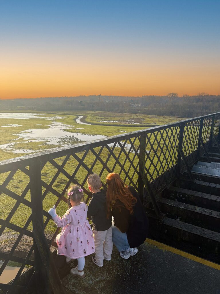 A family looking out onto the marsh.